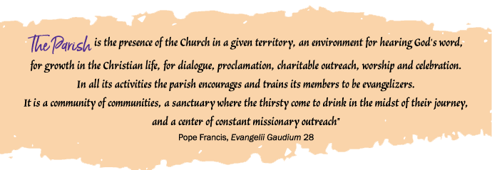 Evangelii Gaudium Quote